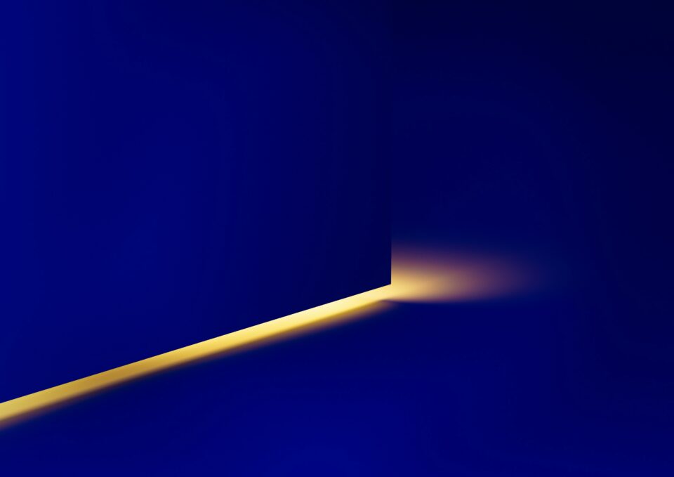 Texte alternatif très détaillé pour accessibilité