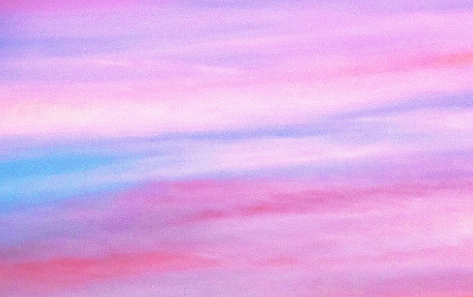 Texte alternatif très détaillé pour accessibilité