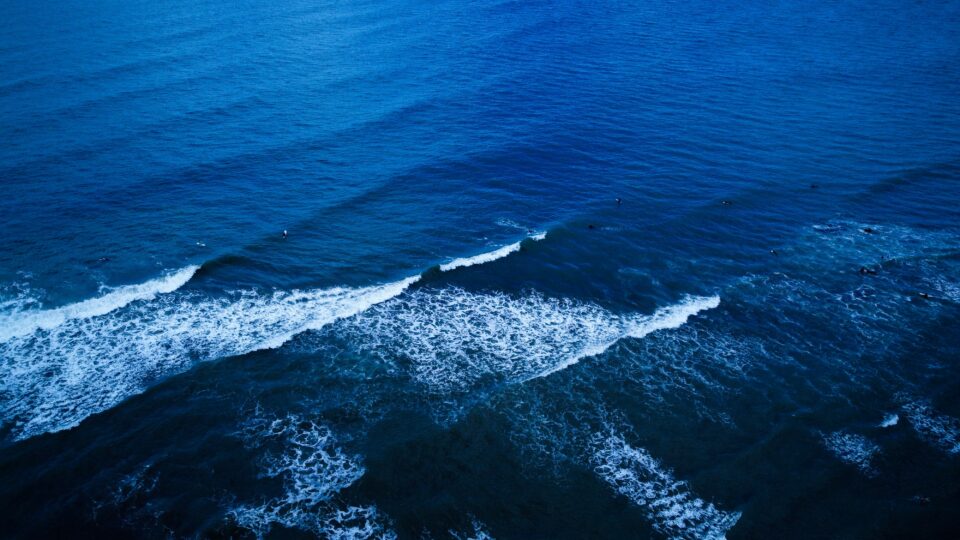 Texte alternatif très détaillé pour accessibilité