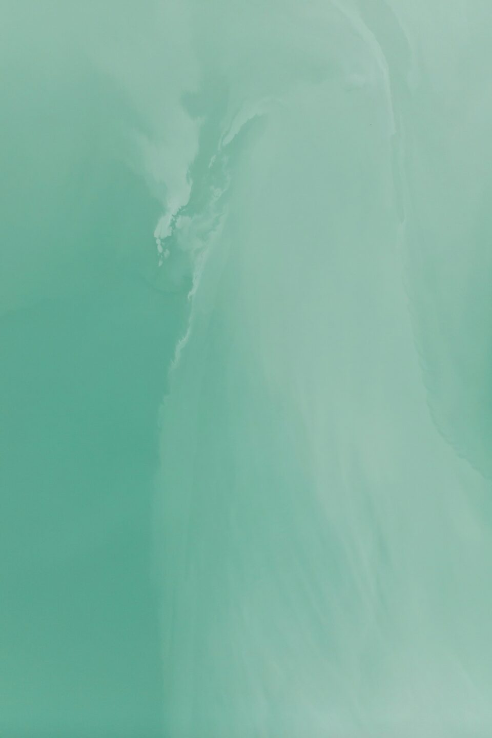 Texte alternatif descriptif