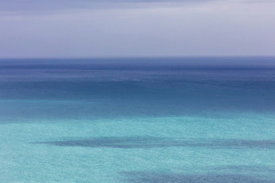 Texte alternatif descriptif