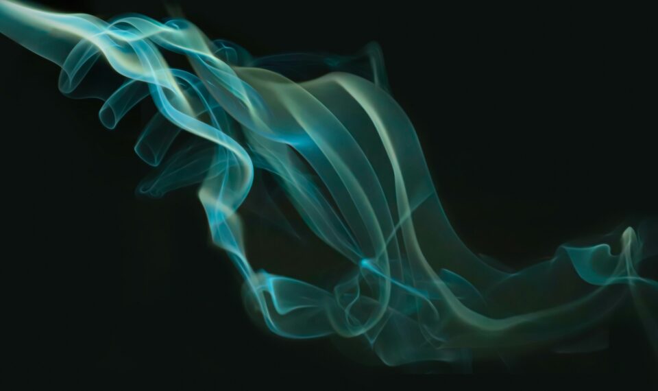 Texte alternatif très détaillé pour accessibilité