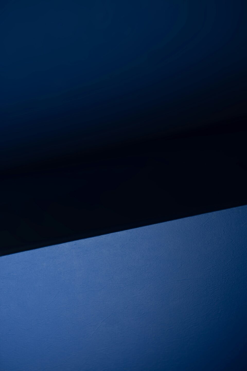 Texte alternatif descriptif